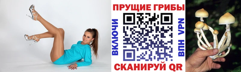 ОМГ ОМГ рабочий сайт  Красавино  Галлюциногенные грибы Cubensis 